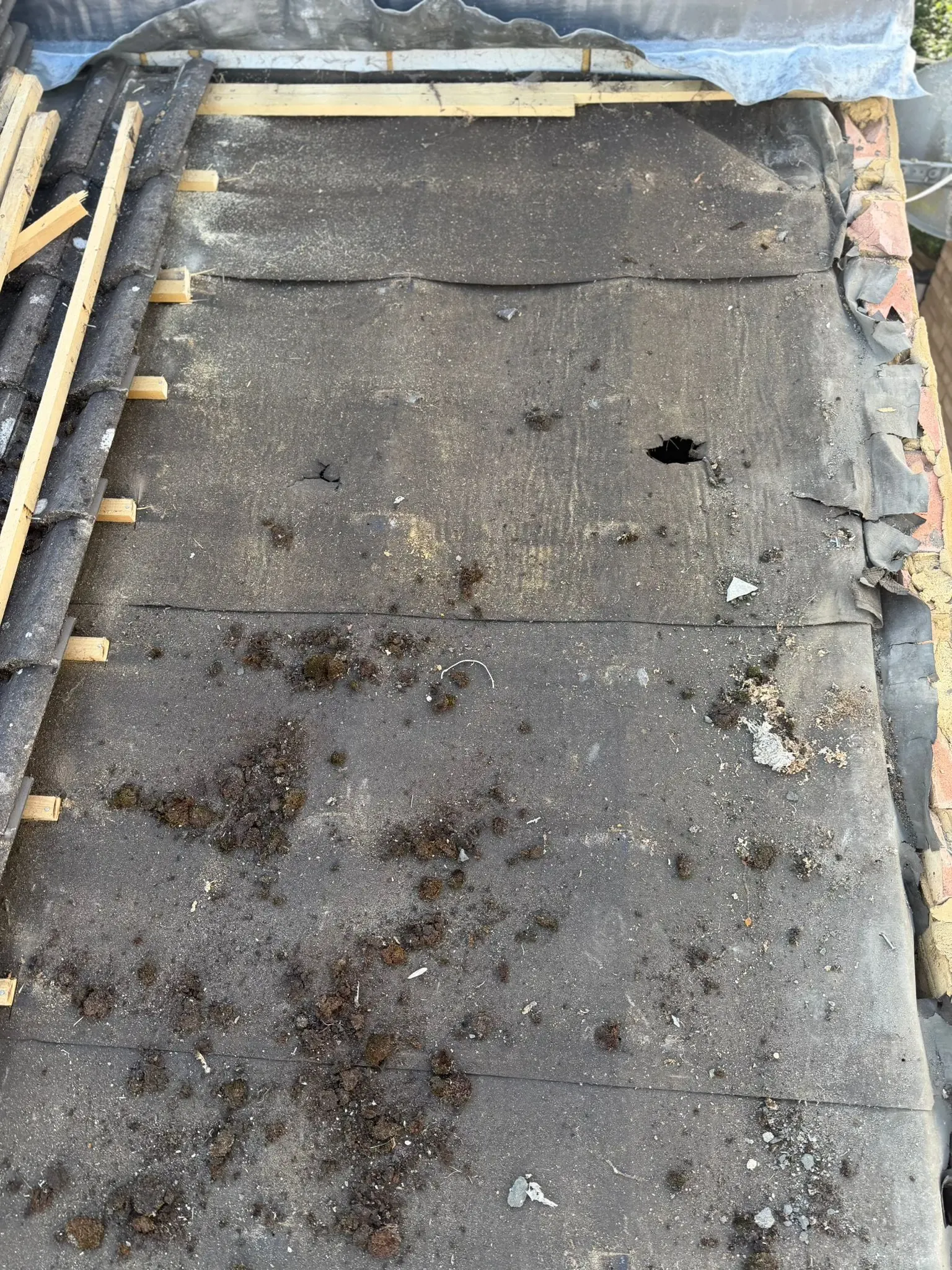 Deteriorated old roofing membrane exposed during an Ascot roof repair